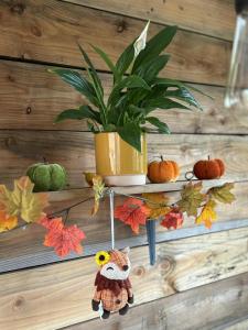 Miss Francis Horse Wagon