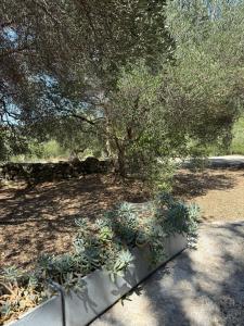 Kuća za odmor Ivančica