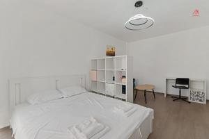 Mihaelas New Times Flat Tineretului