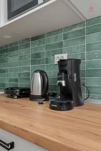 Mihaelas New Times Flat Tineretului