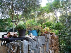 Apartments Nikolina - Vitarnja