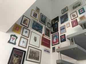 Casa da Maria e suas 3 vira-latas