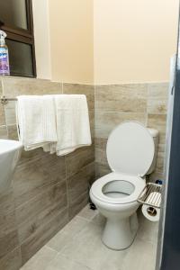 Hamisi Manor Guest House