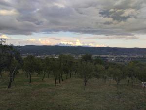 Cabana Valea Brazilor