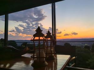 Sounds in Silence - Misty Forest Garden