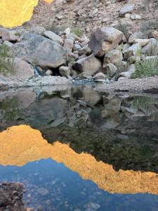 Cabañas Challa killa -luna de arena - fiambalá