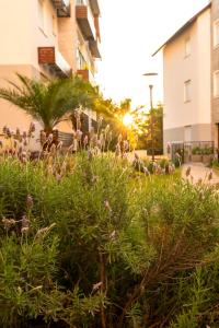 Recanto das Lavandas