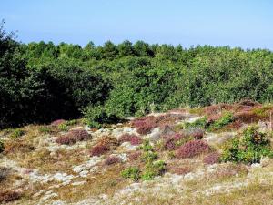 Tent Lodge with Private Kitchen and Bathroom