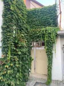 House of Leaves - Ubytování bez kategorie ve městě Berat