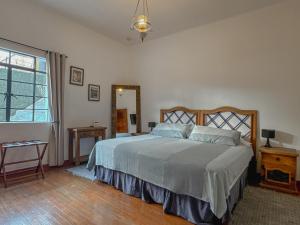 Condesa Haus Rentals