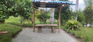 Finca en el Quindío - Arrullo Cafetero