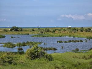 4 person holiday home in Rødby-By Traum