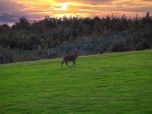 6 person holiday home in Haderslev