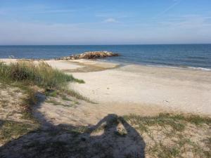 6 person holiday home in Sæby-By Traum