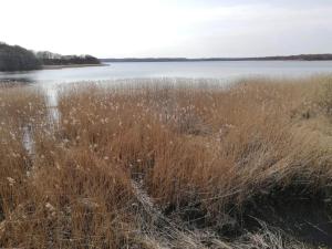 6 person holiday home in Ebeltoft