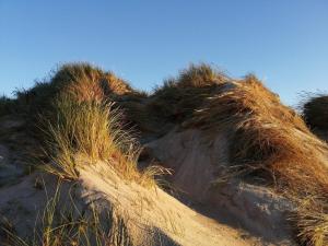 6 person holiday home in Ringkøbing-By Traum