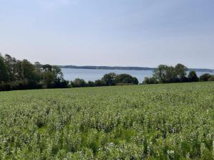 4 person holiday home in Aabenraa-By Traum