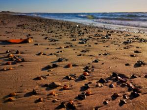 4 star holiday home in Blokhus-By Traum