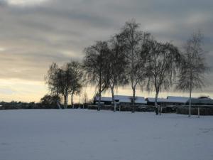 Cozy Seaside Retreat in Eno-By Traum