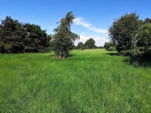 Cozy Seaside Retreat in Eno-By Traum