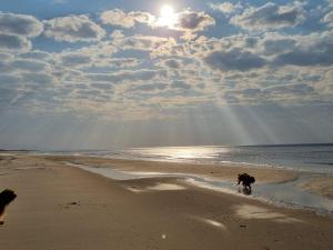 8 person holiday home in Saltum-By Traum