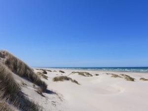 8 person holiday home in Saltum-By Traum