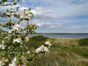 4 person holiday home in Rønde-By Traum