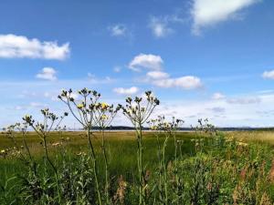 10 person holiday home in Rønde-By Traum