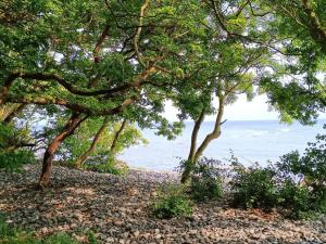 Beautiful holiday home in Borre-By Traum