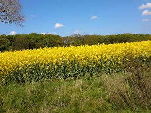 7 person holiday home in Svendborg-By Traum