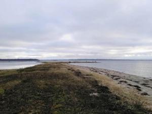 8 person holiday home in Rønde-By Traum