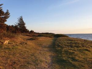 Seaside Serenity at Skaven Strand-By Traum