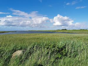 4 person holiday home in Nakskov-By Traum