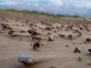 6 person holiday home in Saltum-By Traum