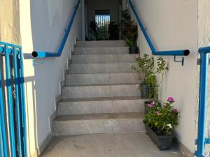 Residencial Jasmim Apto 4