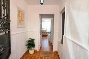 Dos terrazas céntrico pueblo y aparcamiento cerca