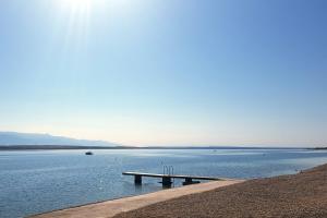 Apartments with parking space Vir - 24901