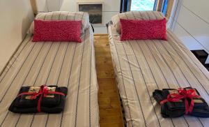 Peonia Riviera dOrta