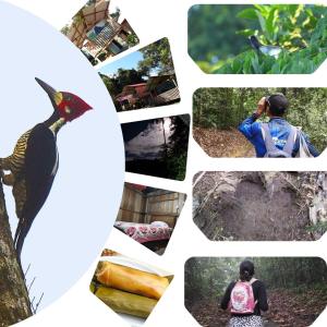 Huellas en la selva sas zomac