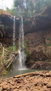 The white elephant garden