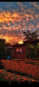 The white elephant garden