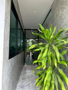 Beans - Chic Cozy Apartment R1