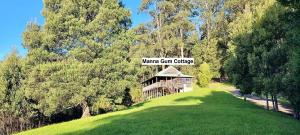 Tall Trees Eco Retreat