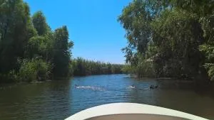 Vila Lotus - 图尔恰