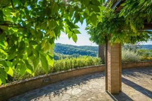 Hidden Villa Among Olive Trees In Tuscany