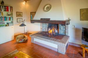 Hidden Villa Among Olive Trees In Tuscany