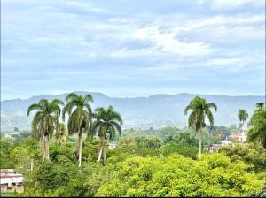 Modern Penthouse Albarobello Residences