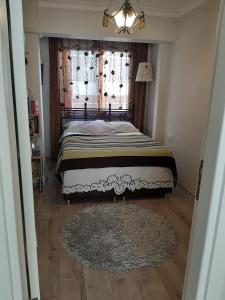 Newly Renovated Apartment in Kordon