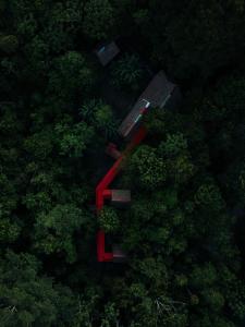 Allpayacu Adventures Lodge -Inclusive