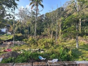 Fog view cottage - Homestay with food and internet